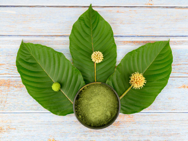 Can Kratom Make a Comeback in Wisconsin?