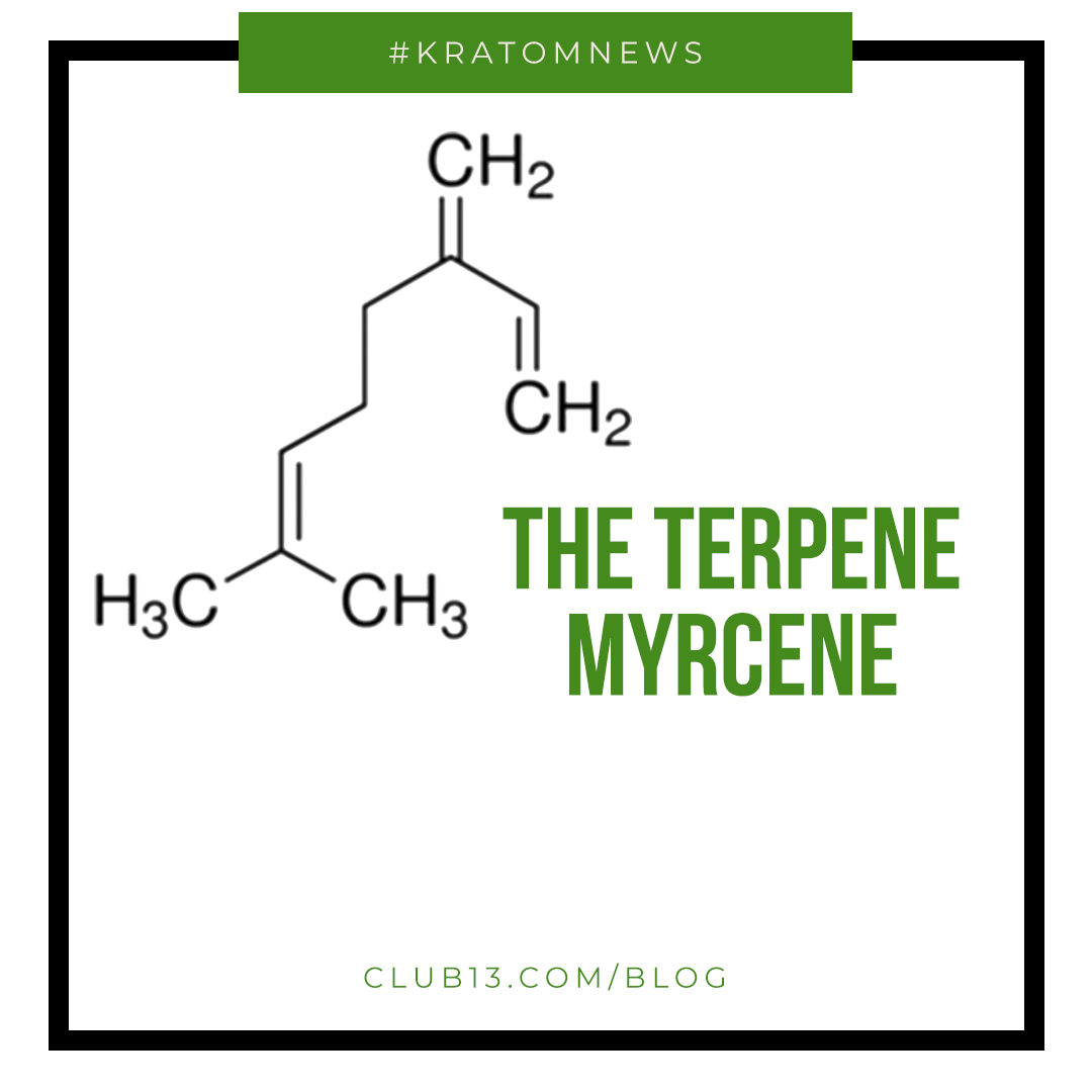 A Closer Inspection ~ The Terpene Myrcene - Club13 Herbals