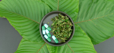 Red vs White Maeng Da Kratom Strains: Learn Key Differences