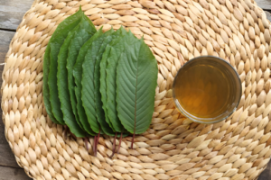 Kratom vs. Kava: Understanding the Differences