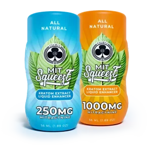 MIT Squeeze - Image 1