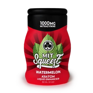 MIT Squeeze Watermelon - Image 1