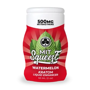 MIT Squeeze Watermelon - Image 5
